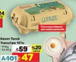 GEZEN TAVUK YUMURTASI 10'LU